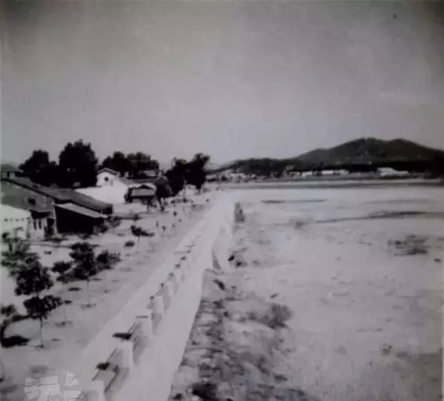东堤