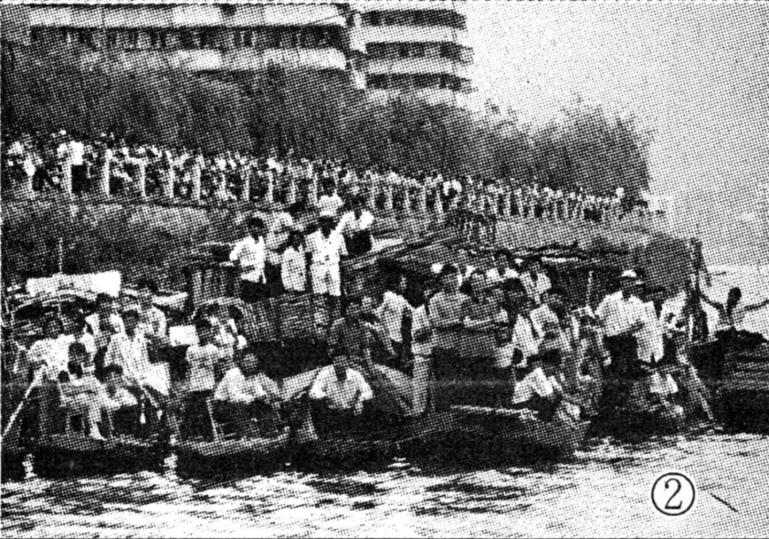 岸边及船上的龙舟赛观众