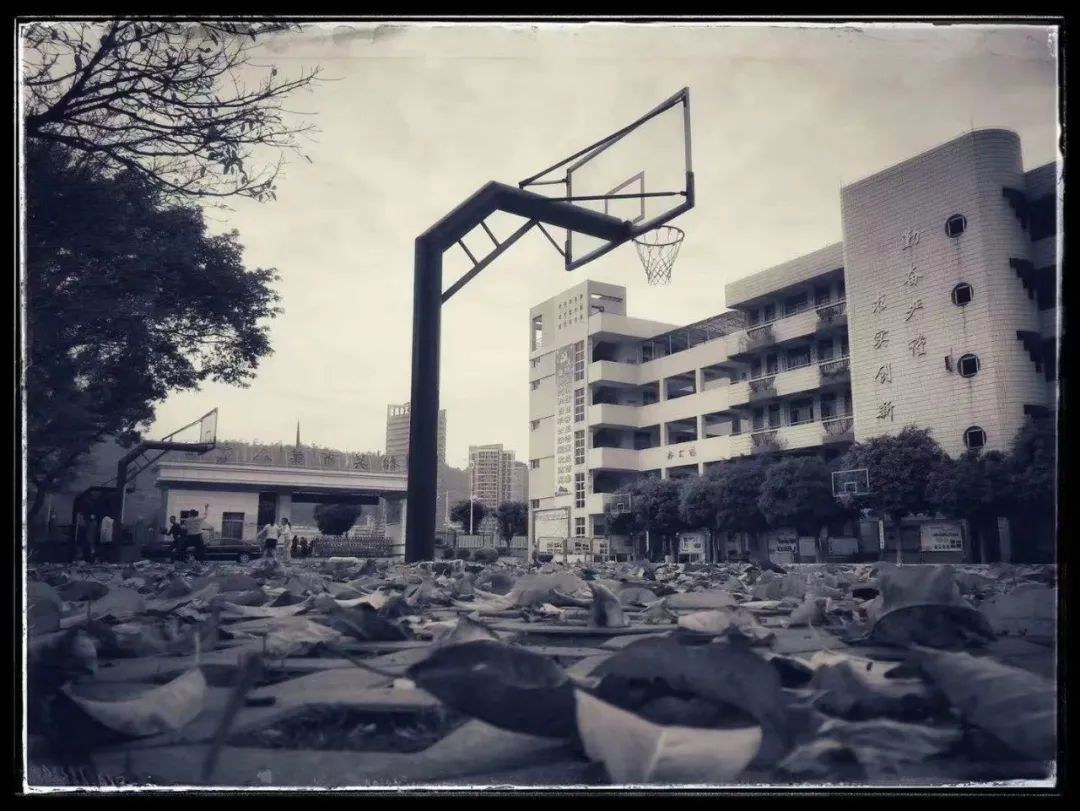 韶关八中篮球架与教学楼